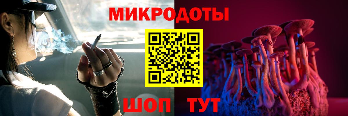 Знаменск  Псилоцибиновые грибы Psilocybe  Вход с VPN 